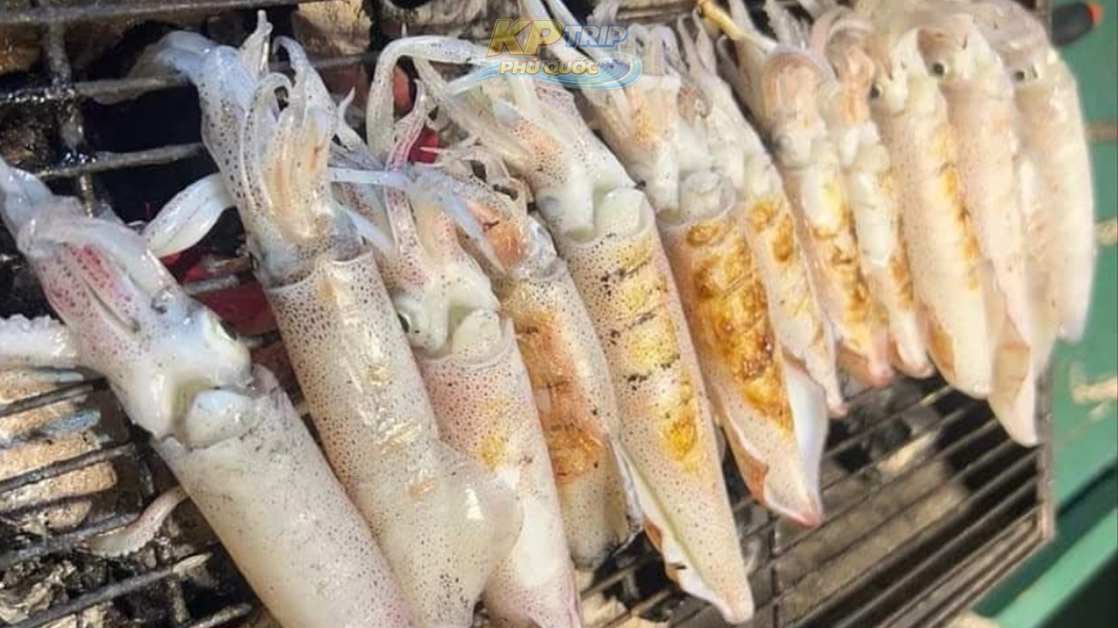 Tour Câu Mực Đêm Phú Quốc – Ngắm Hoàng Hôn & Trải Nghiệm Biển Đêm - Ảnh 9